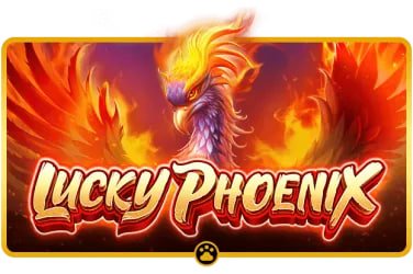 tt8i cá cược esports